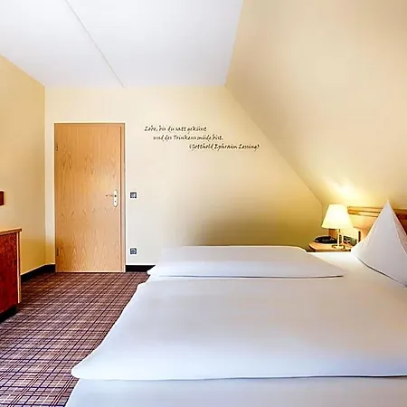 Welcome Hotel 3*